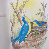 The Wise Little Bird