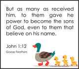 Goose Feathers