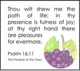 The Parable of the Trees