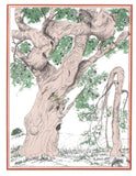 The Parable of the Trees